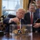 Trump clarity act