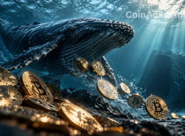 Bitcoin whale baleine btc