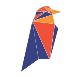 Logo Ravencoin